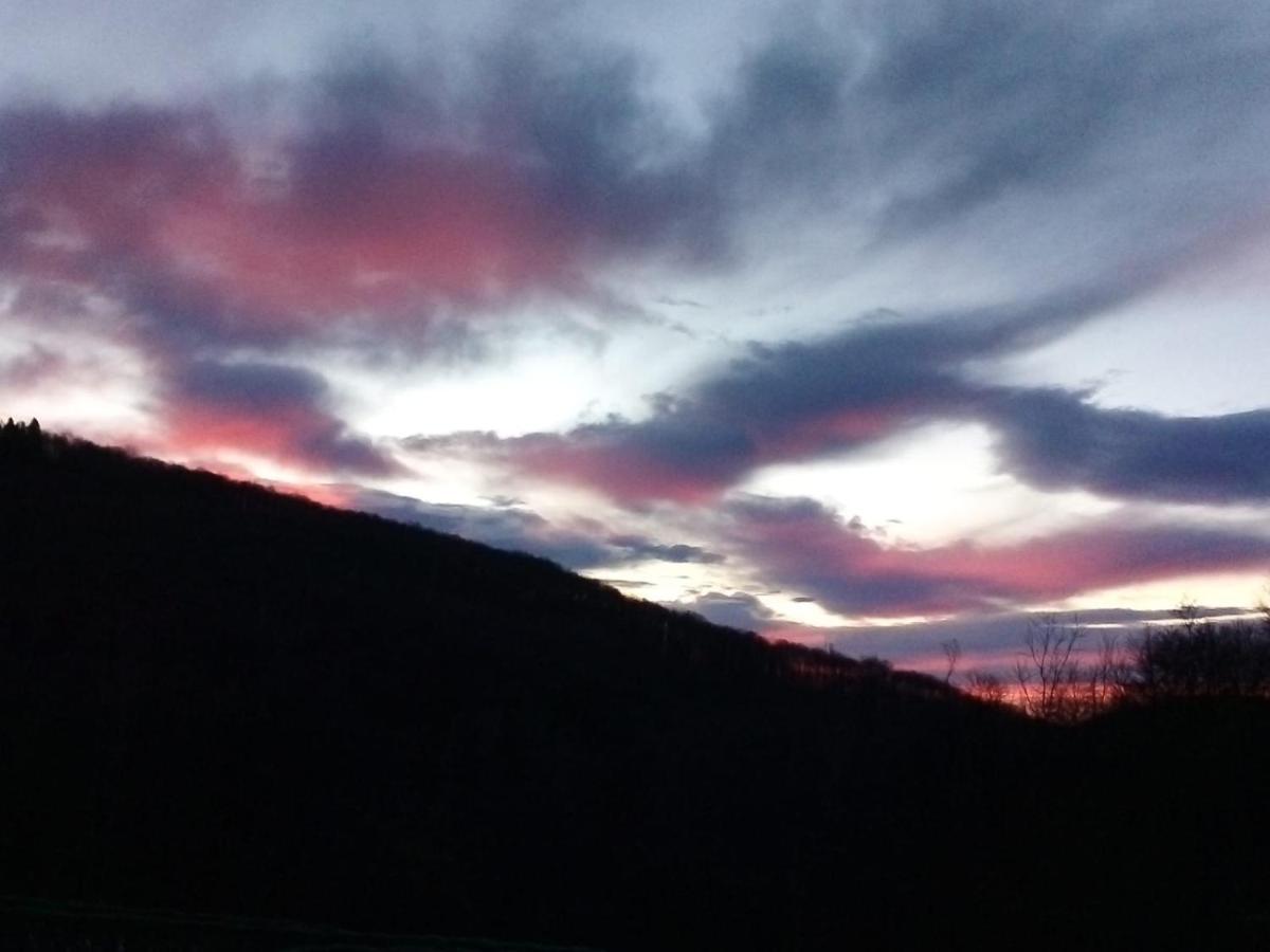 Appartamento La Casa Nel Bosco Rueglio Buitenkant foto